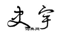 曾庆福史宇草书个性签名怎么写