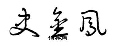 曾庆福史金凤草书个性签名怎么写