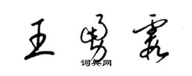 梁锦英王勇霞草书个性签名怎么写