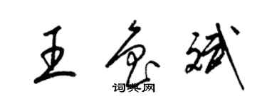 梁锦英王鲁斌草书个性签名怎么写