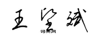 梁锦英王坚斌草书个性签名怎么写