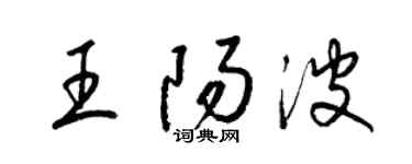 梁锦英王阳波草书个性签名怎么写