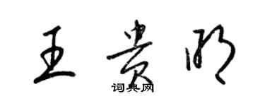 梁锦英王贵明草书个性签名怎么写