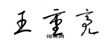 梁锦英王重亮草书个性签名怎么写