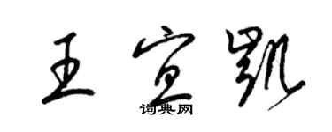 梁锦英王宜凯草书个性签名怎么写