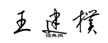 梁锦英王建朴草书个性签名怎么写