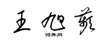 梁锦英王旭苹草书个性签名怎么写