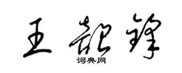 梁锦英王韶锋草书个性签名怎么写