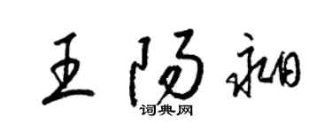 梁锦英王阳昶草书个性签名怎么写