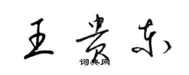 梁锦英王贵东草书个性签名怎么写