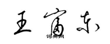 梁锦英王富东草书个性签名怎么写