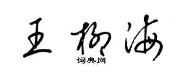 梁锦英王柳海草书个性签名怎么写