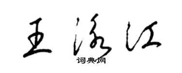 梁锦英王泳江草书个性签名怎么写