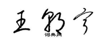 梁锦英王朝宁草书个性签名怎么写