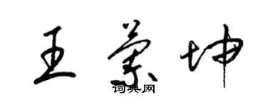 梁锦英王兰坤草书个性签名怎么写