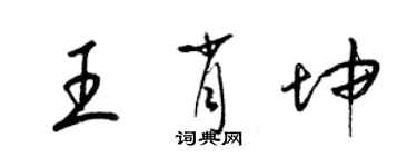 梁锦英王肖坤草书个性签名怎么写