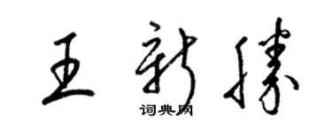 梁锦英王新胜草书个性签名怎么写