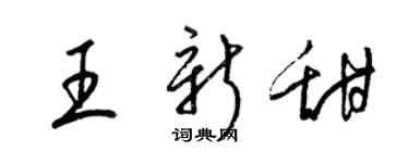 梁锦英王新甜草书个性签名怎么写