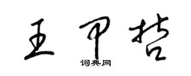 梁锦英王甲哲草书个性签名怎么写