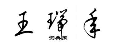 梁锦英王瑞年草书个性签名怎么写