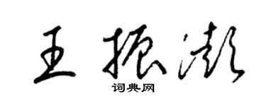 梁锦英王振澎草书个性签名怎么写