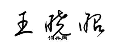 梁锦英王晓昭草书个性签名怎么写
