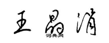 梁锦英王晶涓草书个性签名怎么写