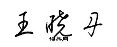 梁锦英王晓丹草书个性签名怎么写