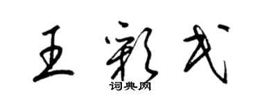 梁锦英王彩民草书个性签名怎么写
