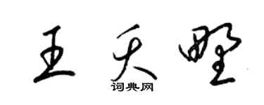 梁锦英王夭野草书个性签名怎么写