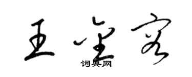 梁锦英王金容草书个性签名怎么写