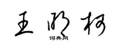 梁锦英王明柯草书个性签名怎么写