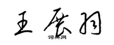 梁锦英王展羽草书个性签名怎么写