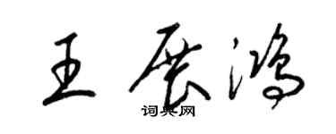 梁锦英王展鸿草书个性签名怎么写