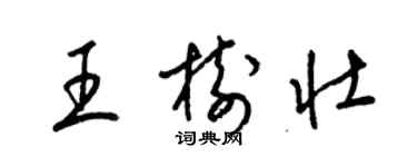 梁锦英王树壮草书个性签名怎么写