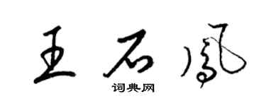 梁锦英王石凤草书个性签名怎么写