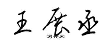 梁锦英王展丞草书个性签名怎么写