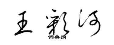 梁锦英王彩河草书个性签名怎么写