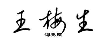 梁锦英王梅生草书个性签名怎么写