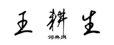 梁锦英王耕生草书个性签名怎么写