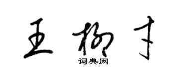 梁锦英王柳才草书个性签名怎么写