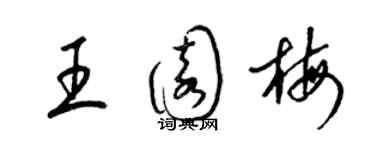 梁锦英王园梅草书个性签名怎么写