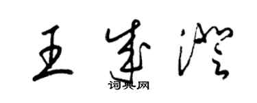 梁锦英王成澄草书个性签名怎么写
