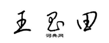 梁锦英王昌田草书个性签名怎么写