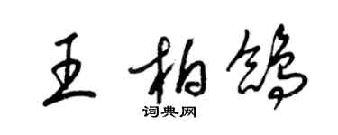 梁锦英王柏鸽草书个性签名怎么写