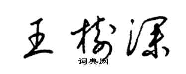 梁锦英王树深草书个性签名怎么写