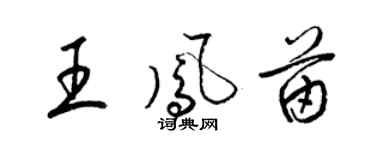 梁锦英王凤苗草书个性签名怎么写
