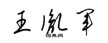 梁锦英王胤军草书个性签名怎么写