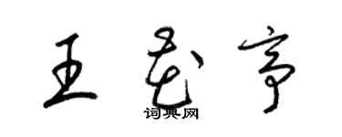梁锦英王花亭草书个性签名怎么写