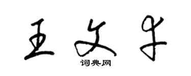 梁锦英王文幸草书个性签名怎么写